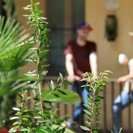 Matabi Hotel Toulouse Gare By Happyculture Hotell