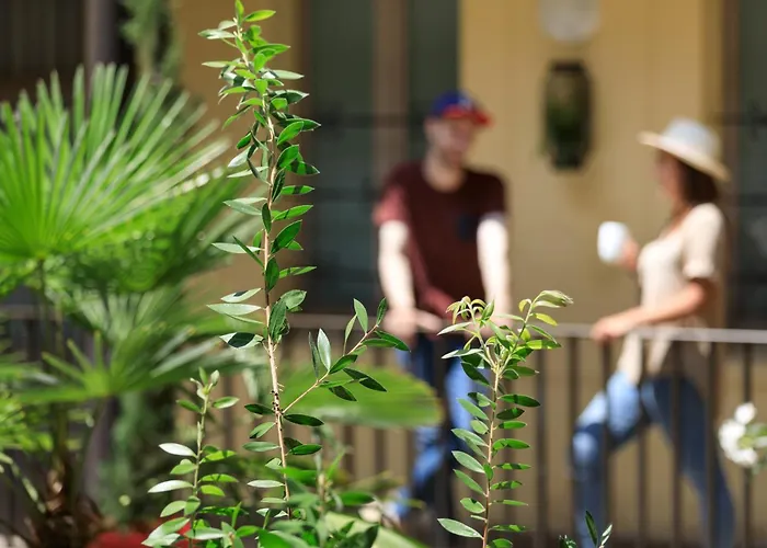 Matabi Gare By Happyculture Szálloda